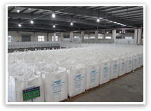 車(chē)間實(shí)景